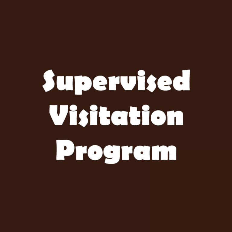 Supervised Visitation (Parenting Time) Program